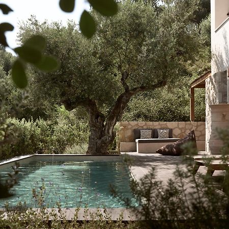 Zayn Luxury Villas, A Serene Escape, By Thinkvilla Tsilivi  Bagian luar foto